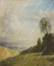 Landscape with birch